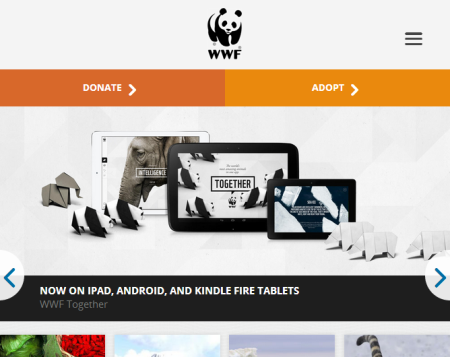 WWF REsponsive